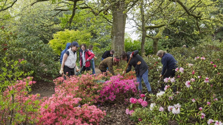 A group of people working in a colourful woodland garden